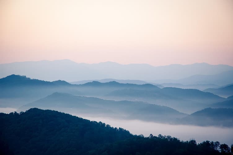 Wellness Nashville clinic