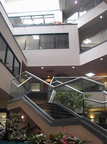 Boston Vitality clinic