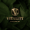 Vitality Eternal Med Spa in Chicago, Illinois logo